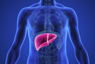 Liver-Transplant-e1625416452911
